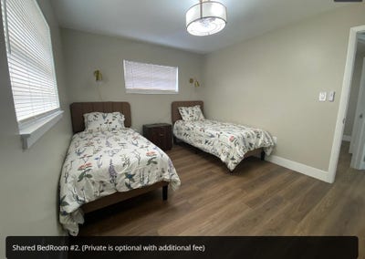 Bright & Botanical Shared Room Main Photo