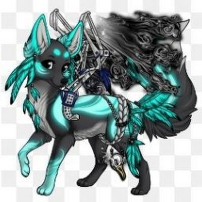 Room wanted in Brooklyn, NY Main Photo