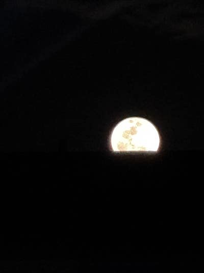 Room wanted in Orlando Main Photo