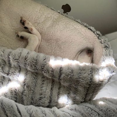 Room wanted in Cambridge, MA Main Photo