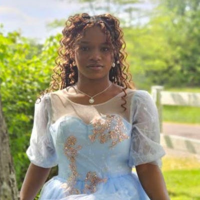 Room wanted in Chicago Main Photo