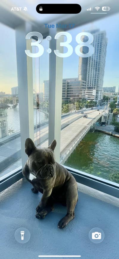 Room wanted in Miami Main Photo