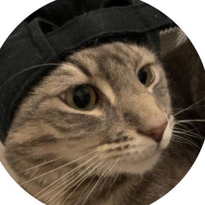 Professional Male seeks a small or large room Main Photo