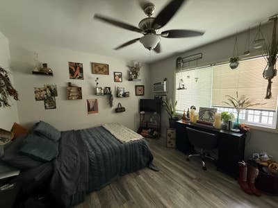 Private Bed & Bath - April 1 Main Photo