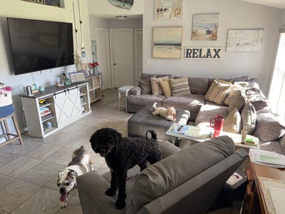 Roommate wanted to share my lovely home  Main Photo