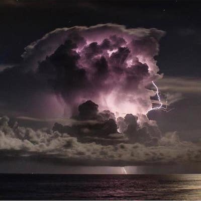 Room wanted in Phoenix Main Photo