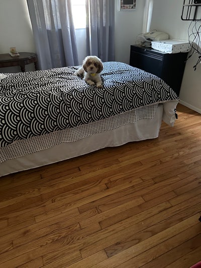 Room for rent Main Photo