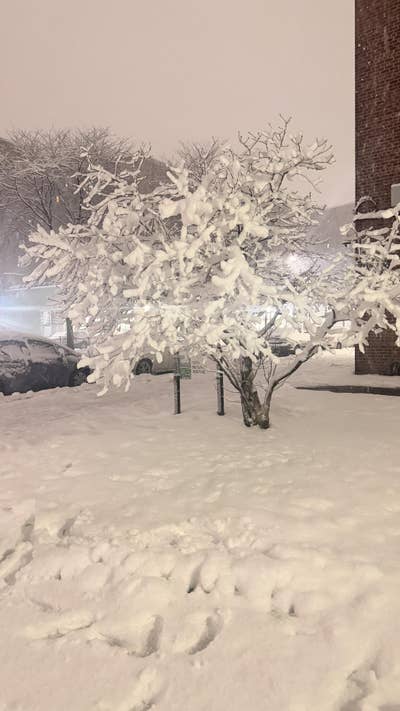 Room wanted in East Bronx, Bronx, NY Main Photo