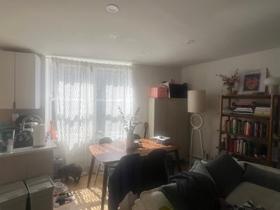 Room for Rent in Sunny Central Ridgewood 2Br Main Photo