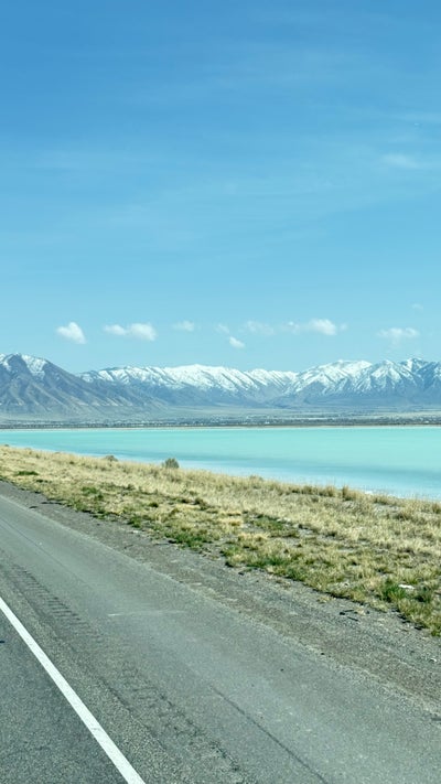 Room wanted in New York Main Photo