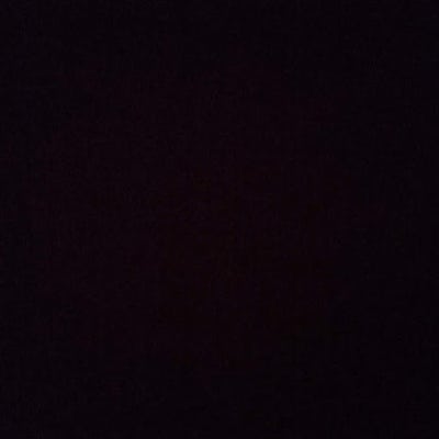 Room wanted in NYC Main Photo