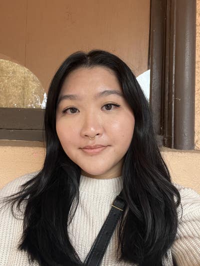 Room wanted in Chicago Main Photo