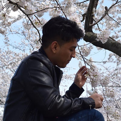 Room wanted in New York Main Photo