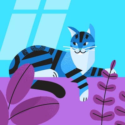 Room wanted in Carlsbad Main Photo