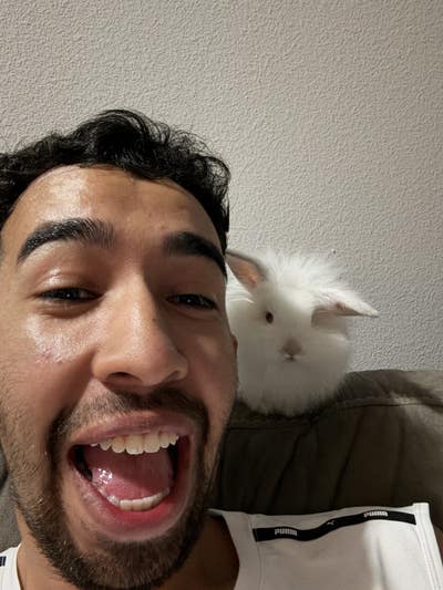 Room wanted in NYC Main Photo