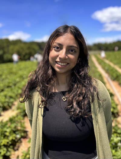 Room wanted in NYC Main Photo