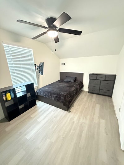 Room near Uh & TSU  Main Photo