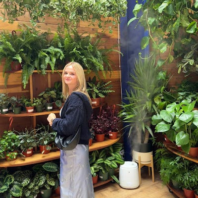 Room wanted in NYC Main Photo