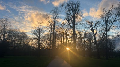 Room wanted in NYC Main Photo