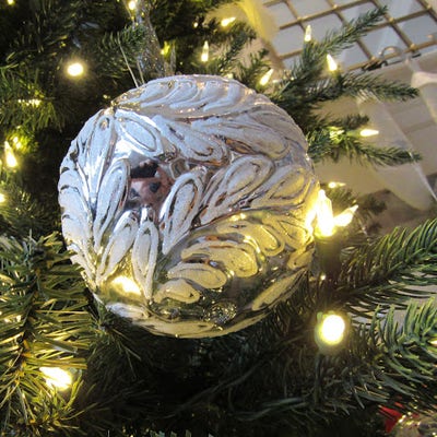 Room wanted in Buda, TX Main Photo