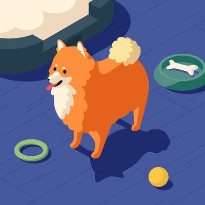 Room wanted in NYC Main Photo