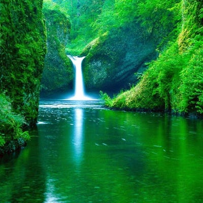 Room wanted in Albany, NY Main Photo