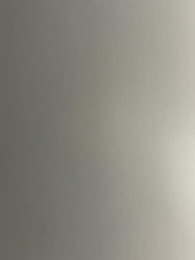 Room wanted in Tampa, FL Main Photo