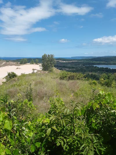 Room wanted in Tennessee Main Photo