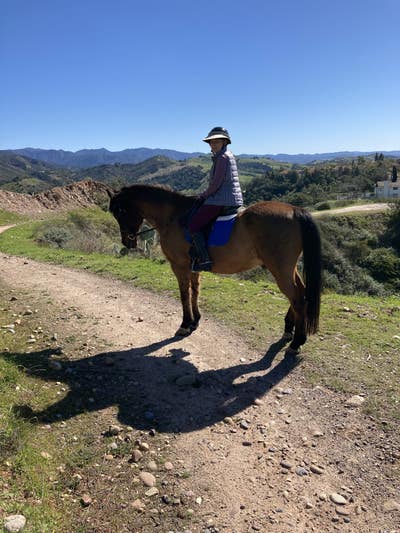 Excellent female roommate looking for room Main Photo