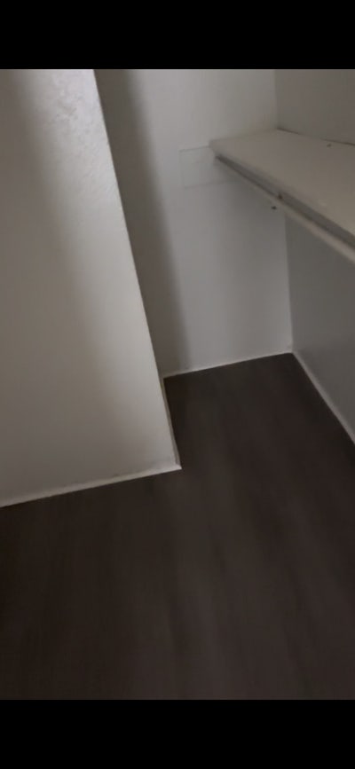 Roommates  Main Photo