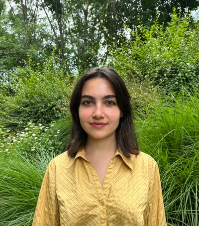 Room wanted in NYC Main Photo