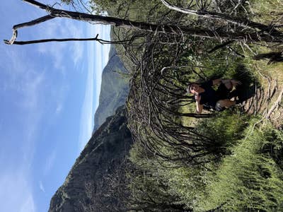 Reliable tenant looking for a room in Rosemead Main Photo