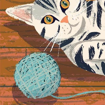 Room wanted in San Marcos, TX Main Photo