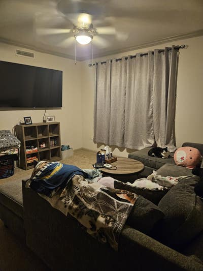 Room for rent/College area Main Photo