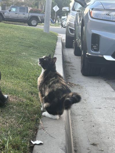 Responsible tenant looking for a room in Downey Main Photo