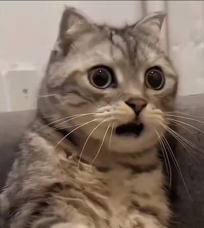 Room wanted in New Braunfels, TX Main Photo