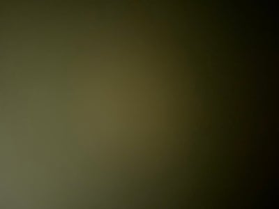 Room wanted in Lisle, IL Main Photo