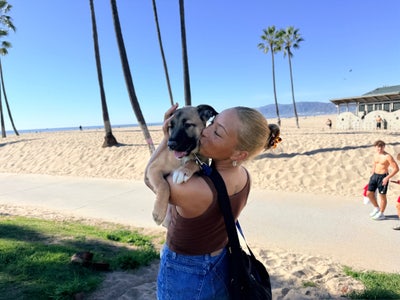 Pup & I looking for peaceful sanctuary  Main Photo