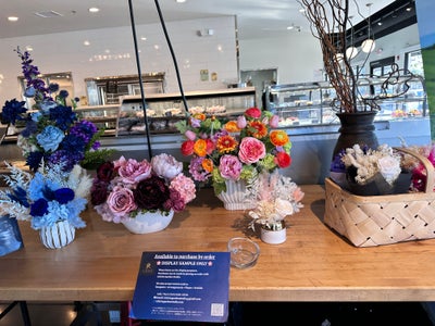 Woman looking for a room in Orange, CA ASAP Main Photo