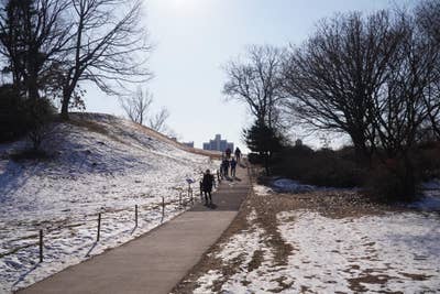 Room wanted in NYC Main Photo