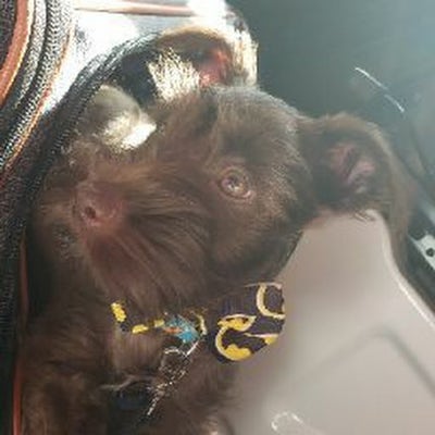 Room wanted in Euless, TX Main Photo