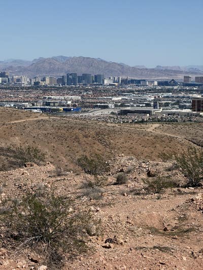 Room wanted in Las Vegas Main Photo