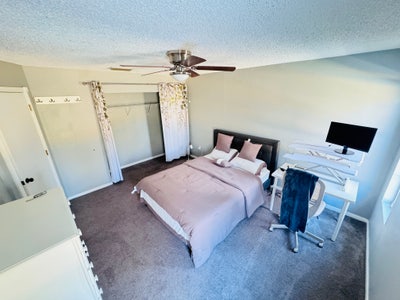 1bedw/AttachedBath in Zilker.  Available April 1st Main Photo