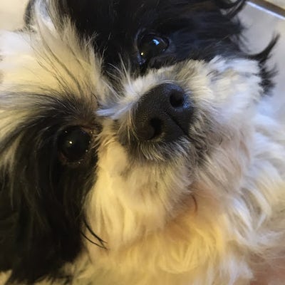 Room wanted in NYC Main Photo