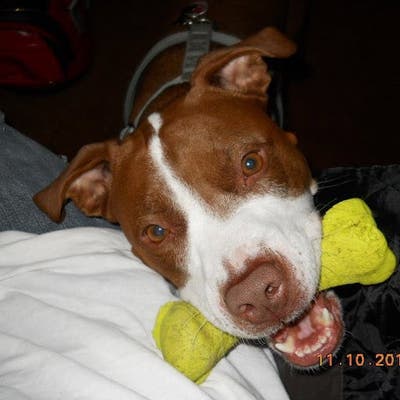 Hello. I’m interested in renting a space fr... Main Photo