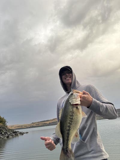 Moving to Lynnwood in a month  Main Photo