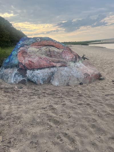 Room wanted in Smithtown, NY Main Photo