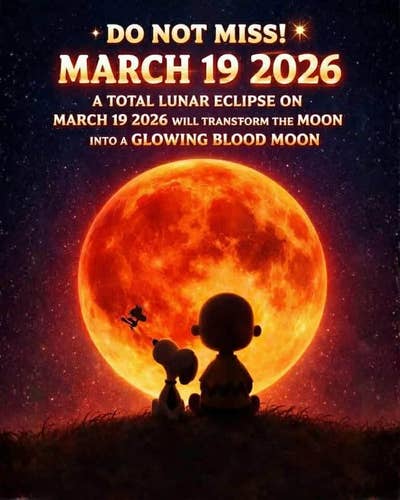 Room wanted in Bronx, NY Main Photo