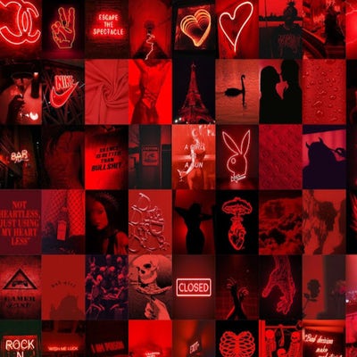 Room wanted in Orlando Main Photo