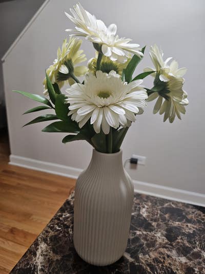 Room wanted in Niles, IL Main Photo